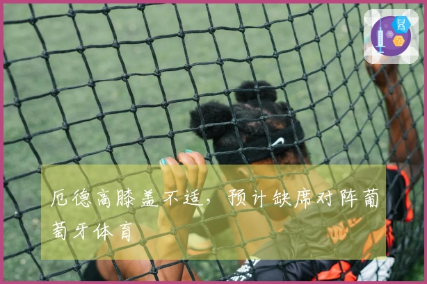 厄德高膝盖不适，预计缺席对阵葡萄牙体育
